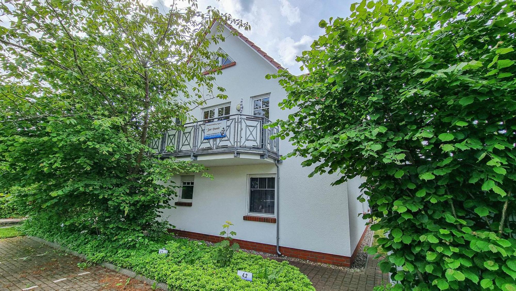 Zur Hanse Wohnung 1 1 ツィングシュト エクステリア 写真